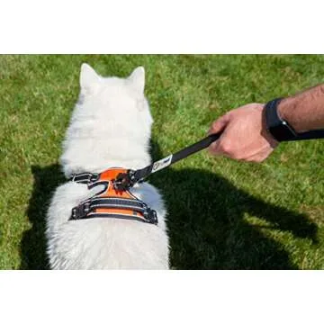 Heavy Duty 6FT DogNerd Silicone Leash for Large Dogs