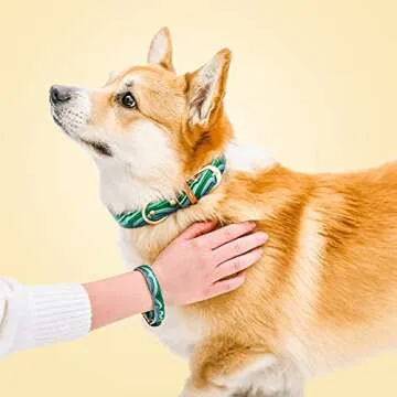 FriendshipCollar Dog Collar and Friendship Bracelet - Magical Malachite - Large