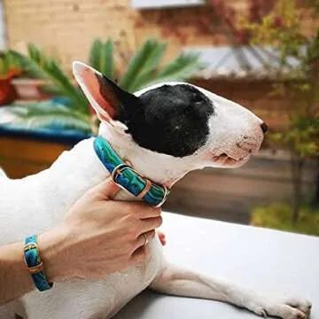 FriendshipCollar Dog Collar and Friendship Bracelet - Magical Malachite - Large