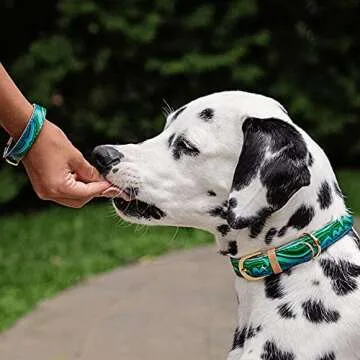 FriendshipCollar Dog Collar and Friendship Bracelet - Magical Malachite - Large