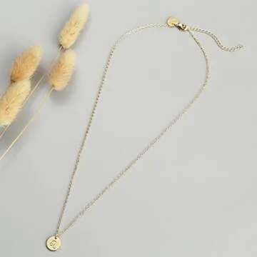Befettly Constellation Necklace Pendant 14K Gold-Plated Hammered Round Disc Engraved Zodiac Sign Pendant 17.5’’ Adjustable Dainty Necklace NK-Leo