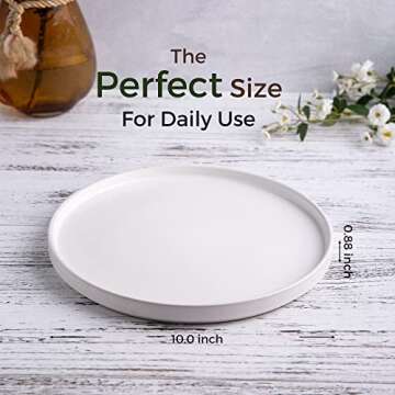 AmorArc Ceramic Dinner Plates Set of 6, 10.0 Inch Matte Stoneware Plates for Kitchen,Modern Flat Din...