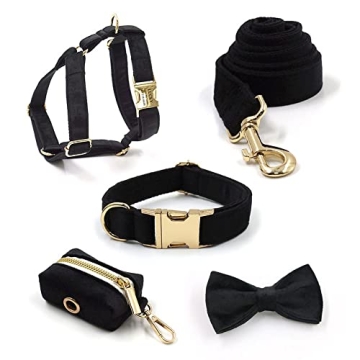 Custom Dog Collar with Engraving and Metal Buckle