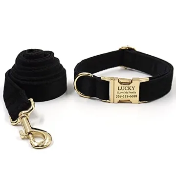 Custom Dog Collar with Engraving and Metal Buckle