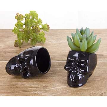 VanEnjoy Set of 3 Black Ceramic Skull Shaped Succulent Planter Pots Creative Cactus Plant Pot Pen Pencil Holder, Home Office Desk Decoration