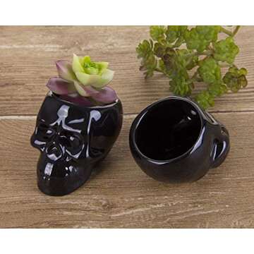 VanEnjoy Set of 3 Black Ceramic Skull Shaped Succulent Planter Pots Creative Cactus Plant Pot Pen Pencil Holder, Home Office Desk Decoration