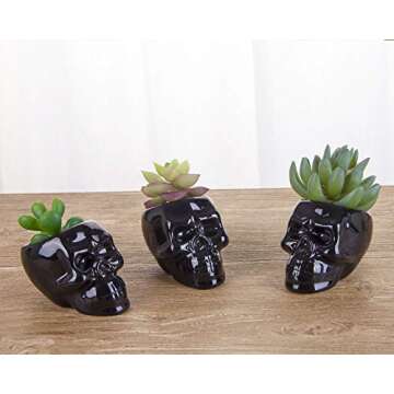 VanEnjoy Set of 3 Black Ceramic Skull Shaped Succulent Planter Pots Creative Cactus Plant Pot Pen Pencil Holder, Home Office Desk Decoration