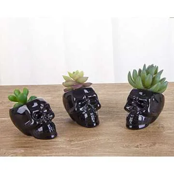VanEnjoy Set of 3 Black Ceramic Skull Shaped Succulent Planter Pots Creative Cactus Plant Pot Pen Pencil Holder, Home Office Desk Decoration