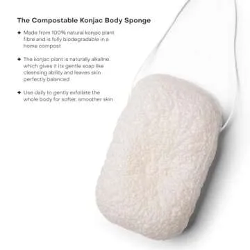 Everist Compostable Konjac Exfoliating Sponge 100% Natural