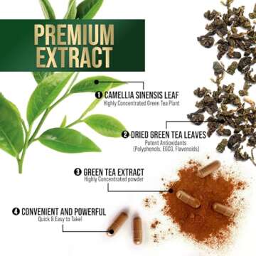 Green Tea Extract Capsules 1000mg 98% Standardized EGCG - 3X Strength for Natural Energy - Heart Support with Polyphenols - Gentle Caffeine - 240 Capsules