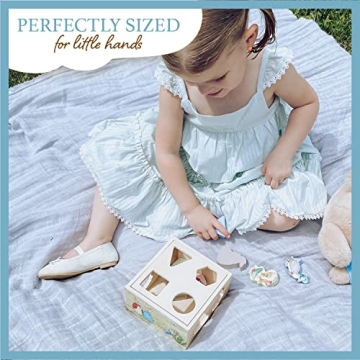 KIDS PREFERRED Peter Rabbit Wooden Shape Sorter for Toddlers