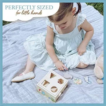 KIDS PREFERRED Peter Rabbit Wooden Shape Sorter for Toddlers