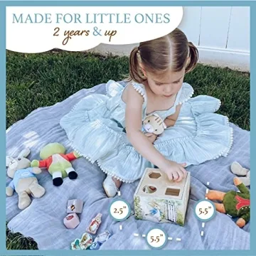 KIDS PREFERRED Peter Rabbit Wooden Shape Sorter for Toddlers