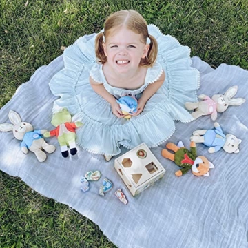 KIDS PREFERRED Peter Rabbit Wooden Shape Sorter for Toddlers