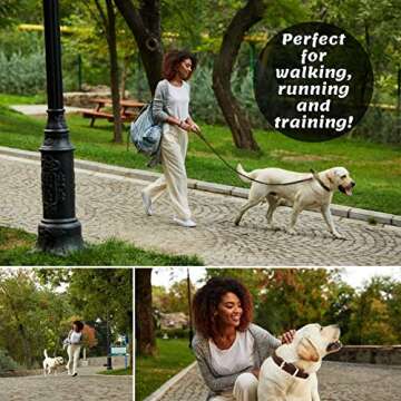 ADITYNA - Premium Leather Dog Leash - 6 ft, Heavy-Duty, Soft & Strong for Small/Medium Dogs - Perfec...