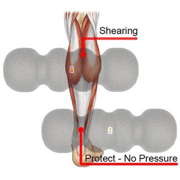 Rollga Basic Foam Roller for Muscle Recovery and Flexibility