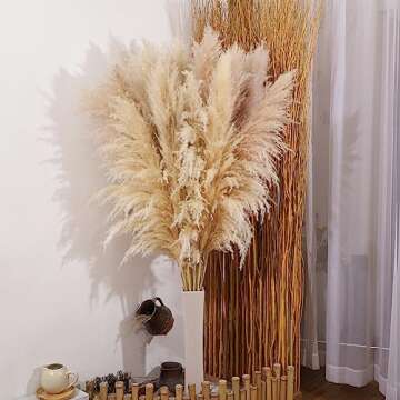 Elegant Pampas Grass Decor for Every Occasion