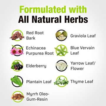 Cedar Bear - Lymphatic Cleanse Immune Support Supplement, Alcohol-Free Lymphatic Drainage Drops with Immune-Enhancing Natural Herbs, Liquid Herbal Supplements, 1 fl oz