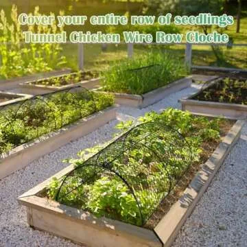 Tandefio 4 Pack Arch Metal Tunnel Chicken Wire Cloche for Garden Plant Protector and Cover 18.5 x 8 Inch Garden Cloche Plant Protection Cage from Wild Animals for Seedlings Flowers Vegetable