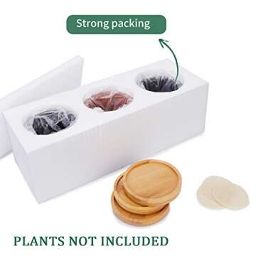 POTEY Cement Succulent Planter Pots - 2.6" Indoor Planter Pot with Bamboo Tray, Drain Hole - Handcraft Geometry Cylinder Deco Indoor-Set of 3, Brown, Black, Grey