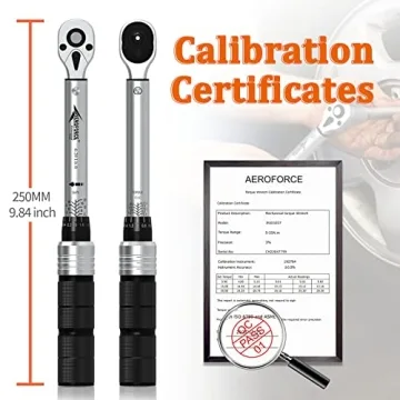 Buy AEROFORCE 19Pcs Drive Click Torque Wrench Set Today!