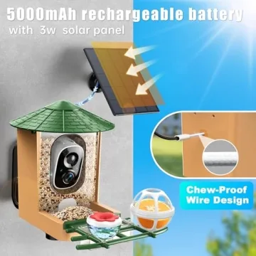 Smart Bird Feeder with Camera and AI Identification