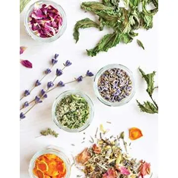 Guide to Growing Your Own Flavorful Tea Garden Easily