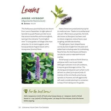 Guide to Growing Your Own Flavorful Tea Garden Easily