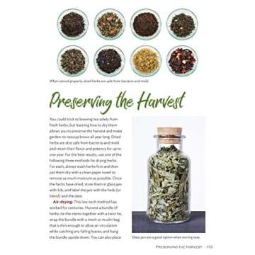 Guide to Growing Your Own Flavorful Tea Garden Easily