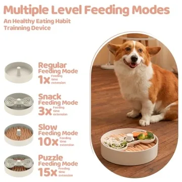 Puzzle Feeder Dog Bowl for Slow Eating & Enjoyment