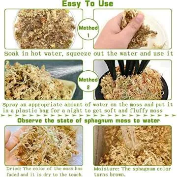 Legigo 3.5oz Premium Sphagnum Moss Potting Mix- 4 QT Natural Succulent Carnivorous Plants Moss Dried, Plant Growing Medium for Orchid Succulent Sarracenia Orchid Gardening Plants Reptiles