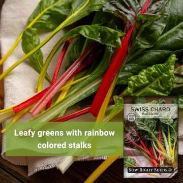 Sow Right Seeds - Rainbow Swiss Chard Seeds for Planting - Non-GMO Heirloom Packet with Instructions to Plant and Grow a Home Vegetable Garden - Nutritious Chard Greens for Cooking (1)