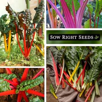 Sow Right Seeds - Rainbow Swiss Chard Seeds for Planting - Non-GMO Heirloom Packet with Instructions to Plant and Grow a Home Vegetable Garden - Nutritious Chard Greens for Cooking (1)