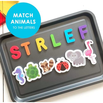 Curious Columbus Animal Magnets for Fun Learning Toys