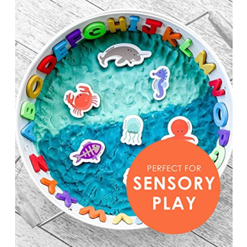 Curious Columbus Animal Magnets for Fun Learning Toys