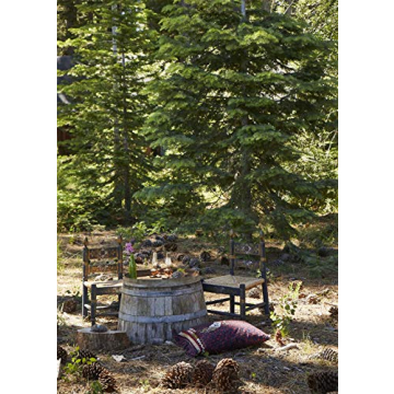 Decors Barbares Amazing Interiors by Nathalie Farman-Farma