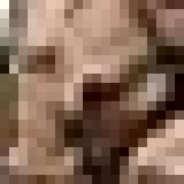 SheIn Women's Plaid Button Down Long Sleeve Blouse Lapel Collar Tunic Top Shirt Brown Small