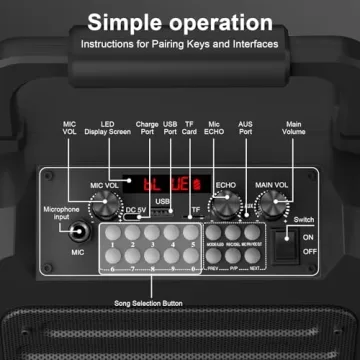 NetLea Karaoke Machine with Wireless Microphones