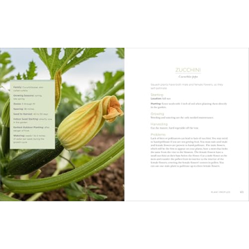 Raised Bed Gardening Guide for Beginners and Enthusiasts