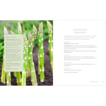 Raised Bed Gardening Guide for Beginners and Enthusiasts