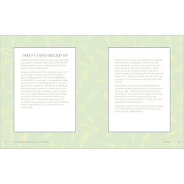 Raised Bed Gardening Guide for Beginners and Enthusiasts