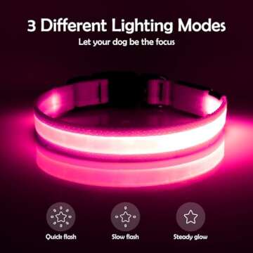 Vizpet LED Dog Collar, Light Up Dog Collar Adjustable USB Rechargeable Super Bright Safety Light Glo...