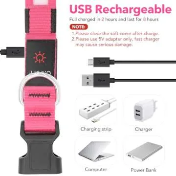 Vizpet LED Dog Collar, Light Up Dog Collar Adjustable USB Rechargeable Super Bright Safety Light Glowing Collars for Dogs (Medium, Pink)