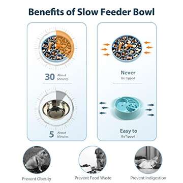 IOKHEIRA Slow Feeder Dog Bowls for Healthy Eating