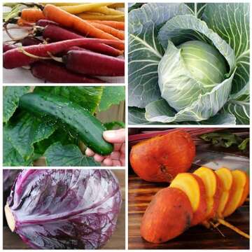 Seed Needs Heirloom Vegetable Seeds for Home Gardens