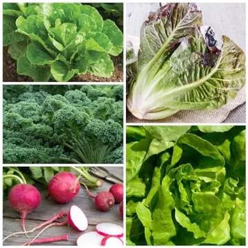 Seed Needs Heirloom Vegetable Seeds for Home Gardens