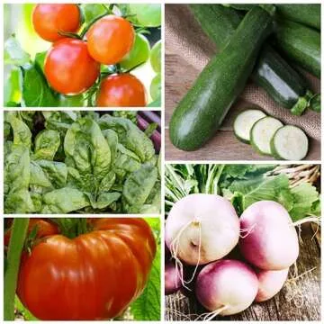 Seed Needs Heirloom Vegetable Seeds for Home Gardens