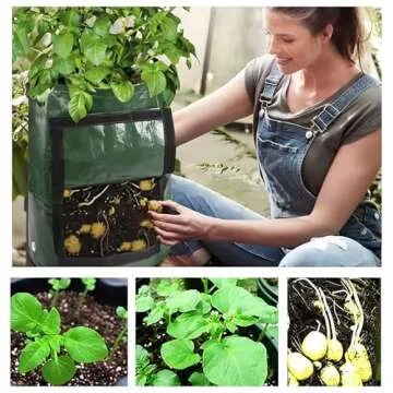 YOQXHY 10 Gallon Potato Grow Bags - 5 Pack for Gardening