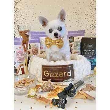 Threepaws Gourmet Vegan & Organic Dog Treats, Mint Carob Bones, 7 oz