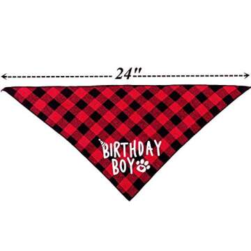 Birthday Boy Dog Bandana